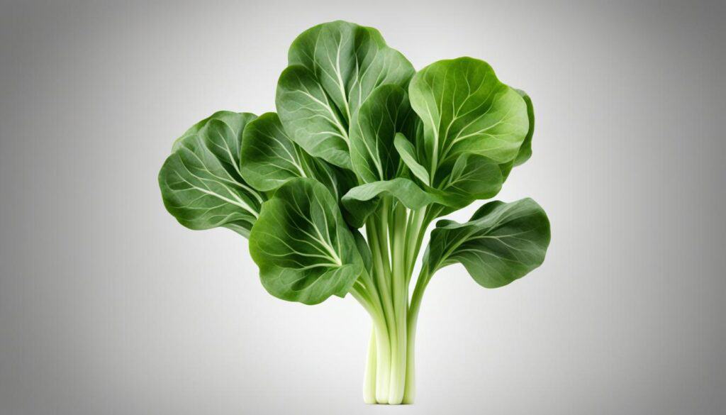 Bok Choy