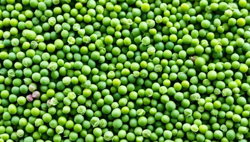 Types of Peas