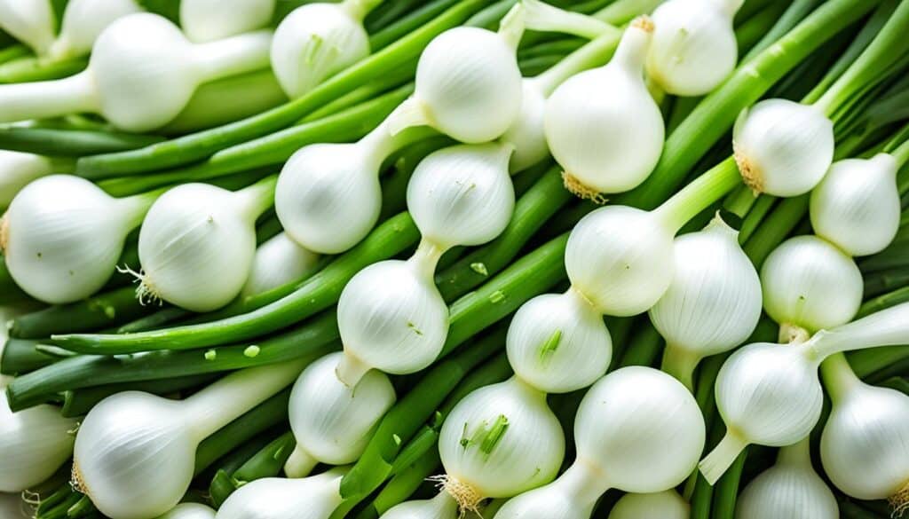 health benefits of spring onions