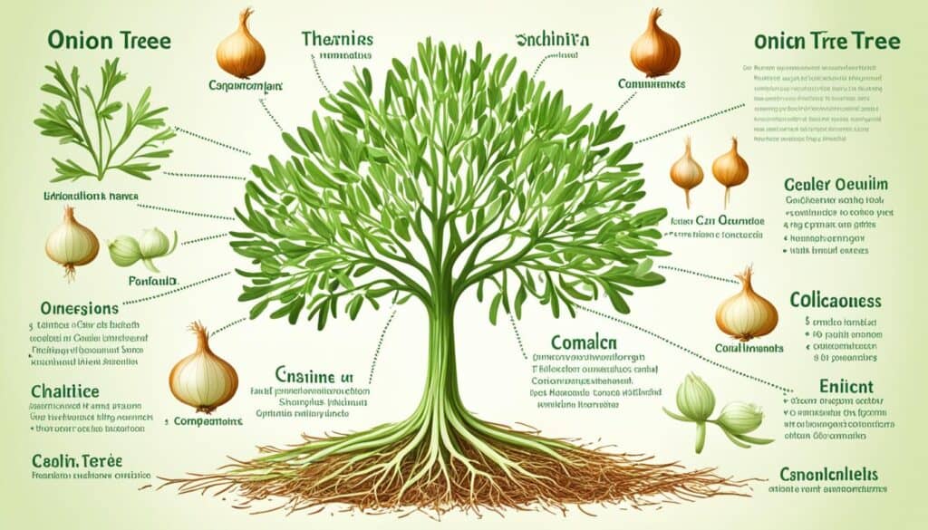 onion tree benefits